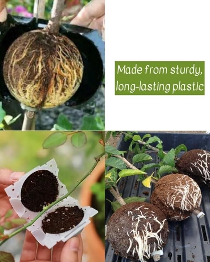 Reusable Plant Root Growth Balls with Locks (Pack of 5)