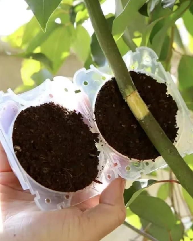 Reusable Plant Root Growth Balls with Locks (Pack of 5)