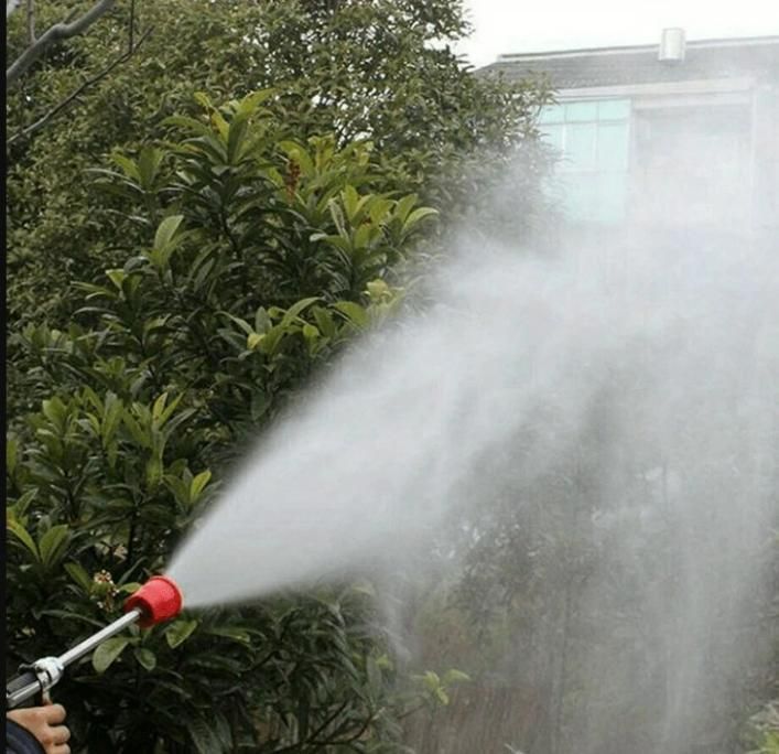 Agricultural High-Pressure Spray Gun